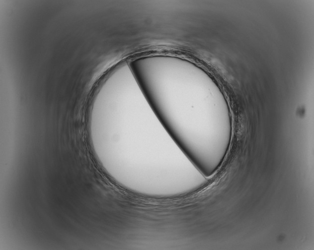 X0000098161261200805011422