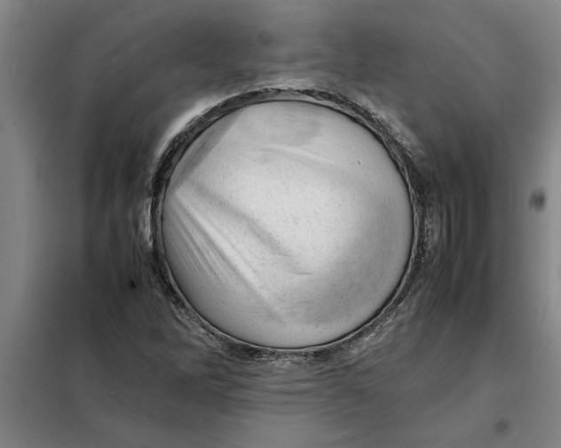 X0000098161262200805011422