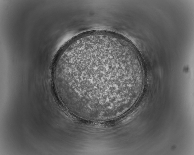 X0000098161263200805011422