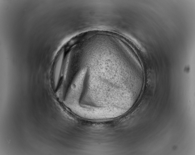 X0000098161264200805011422