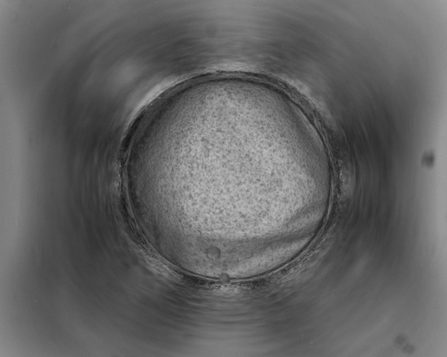 X0000098161266200805011422