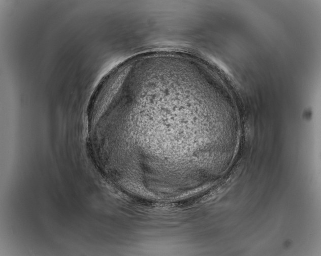 X0000098161267200805011422