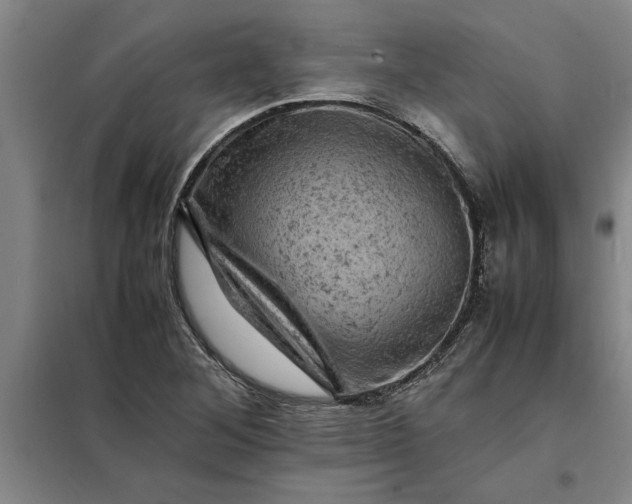 X0000098161268200805011422