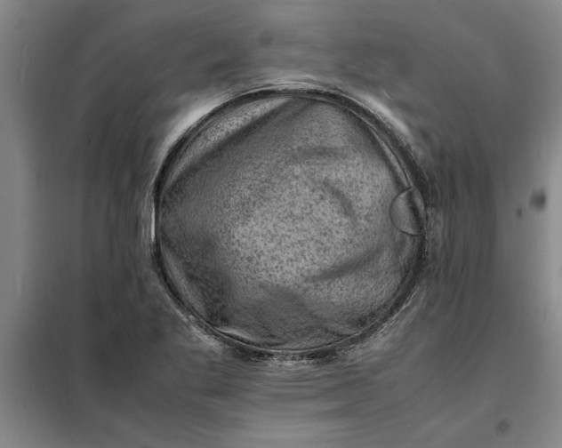 X0000098161269200805011422