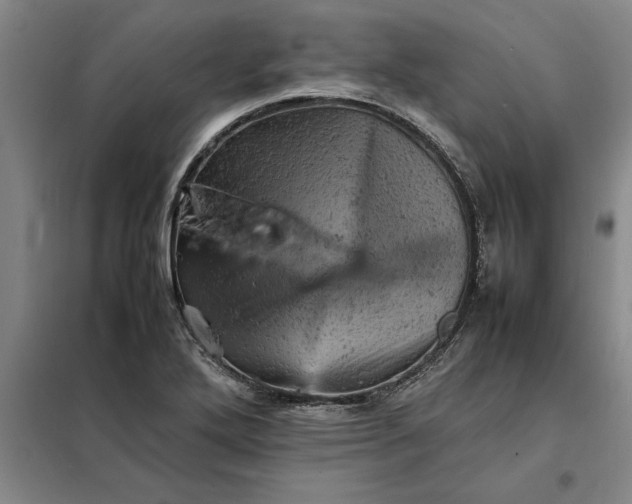X0000098161272200805011422