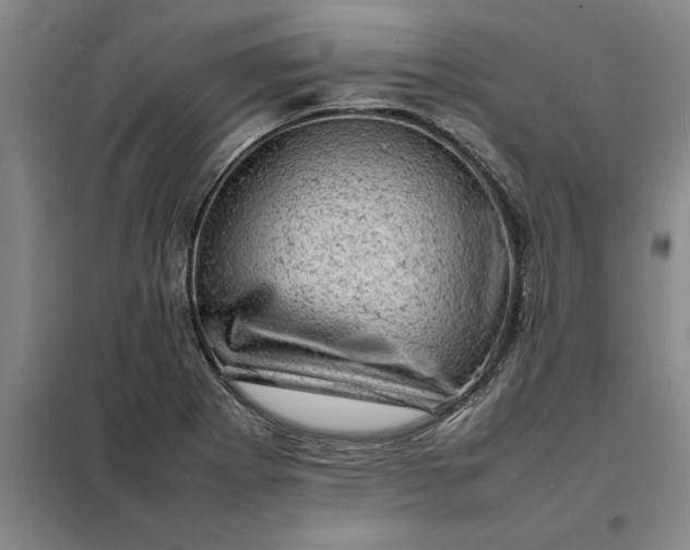 X0000098161273200805011422