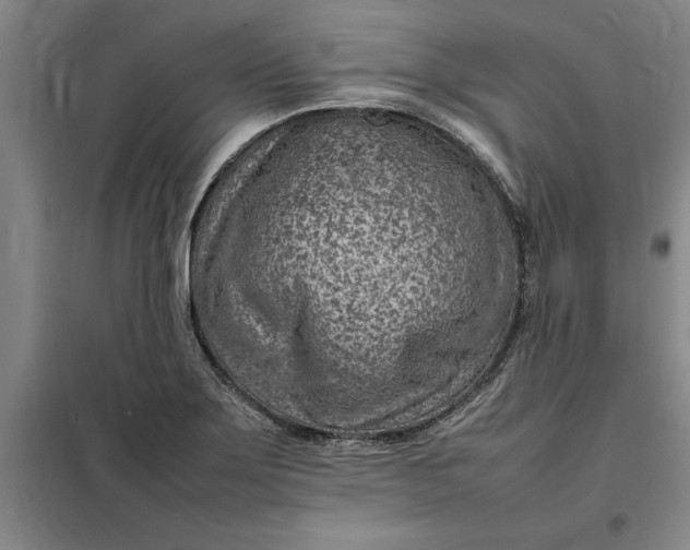 X0000098161275200805011422