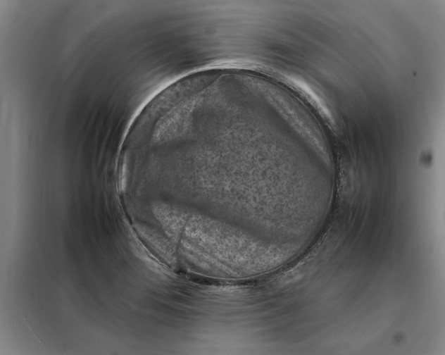 X0000098161276200805011422