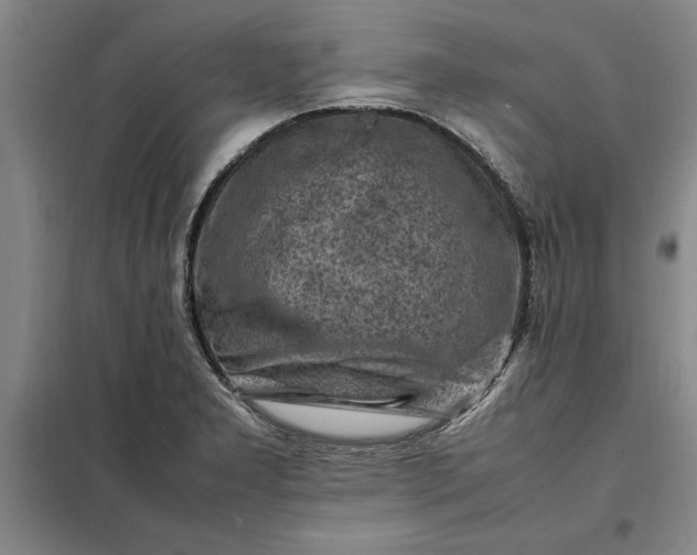 X0000098161277200805011422