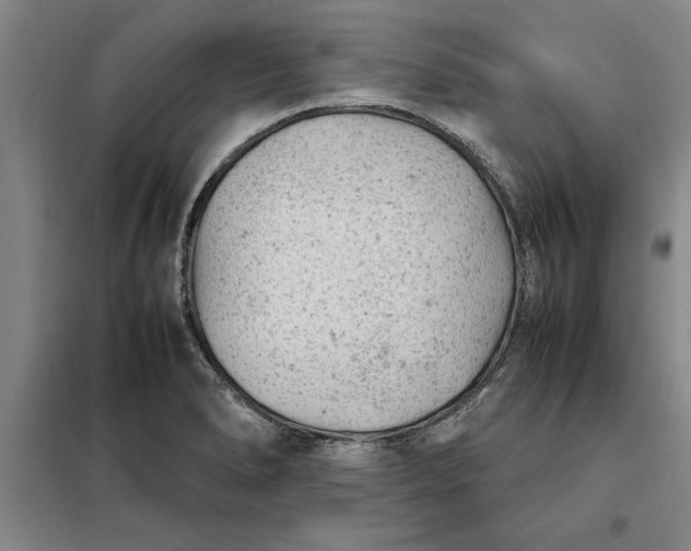 X0000098161278200805011422