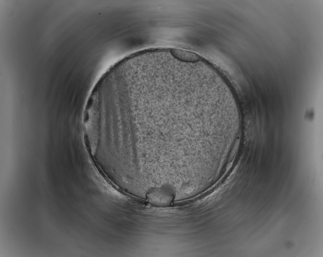 X0000098161280200805011422