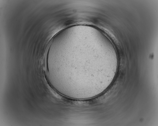 X0000098161281200805011422