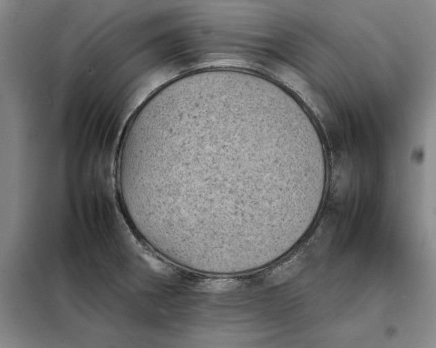 X0000098161282200805011422