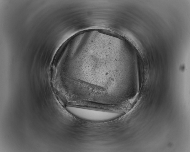 X0000098161284200805011422