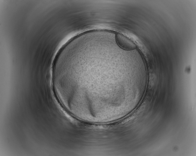 X0000098161286200805011422