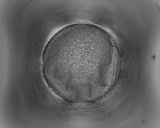 X0000098161287200805011422