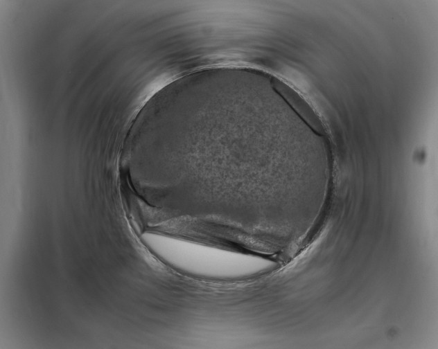 X0000098161289200805011422