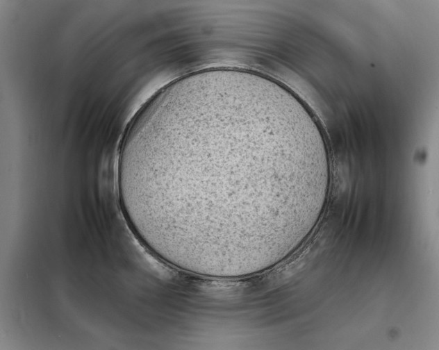 X0000098161290200805011422