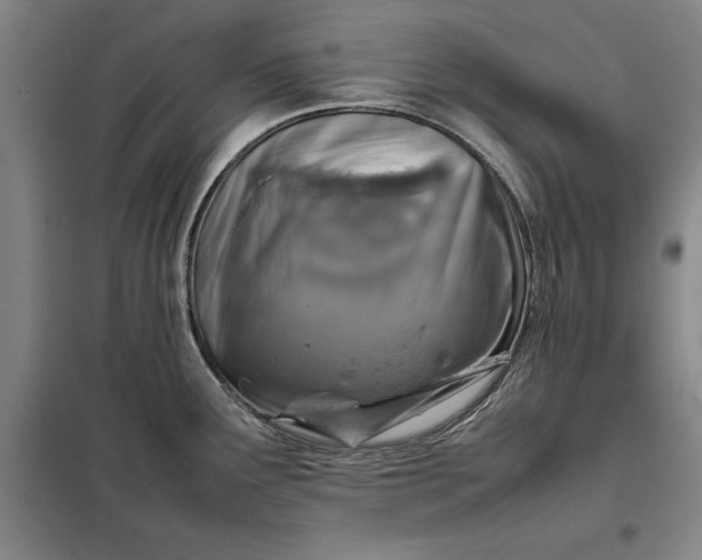 X0000098161291200805011422