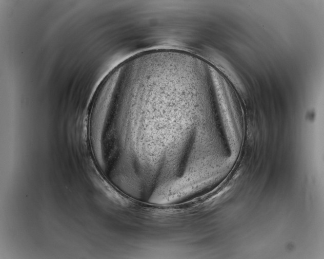 X0000098161292200805011422