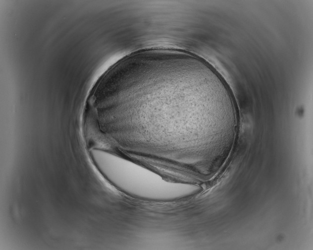 X0000098161293200805011422