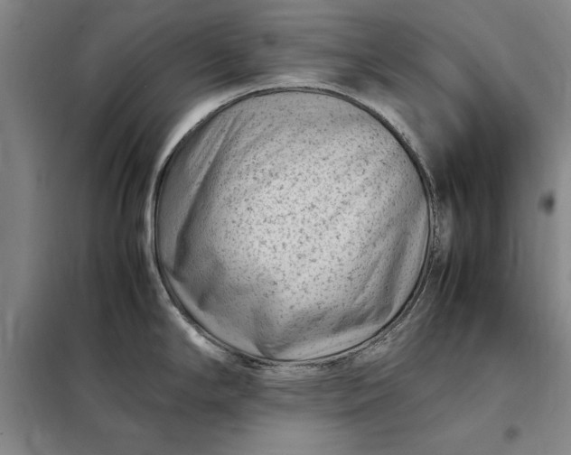 X0000098161294200805011422