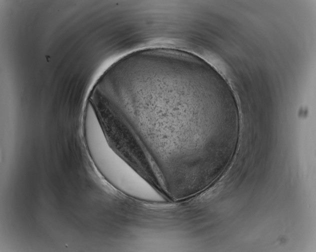 X0000098161296200805011422