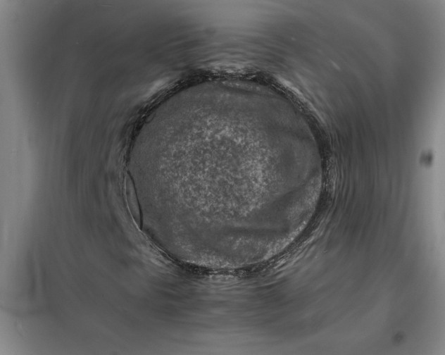 X0000098161297200805011421