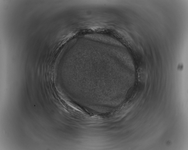 X0000098161298200805011421