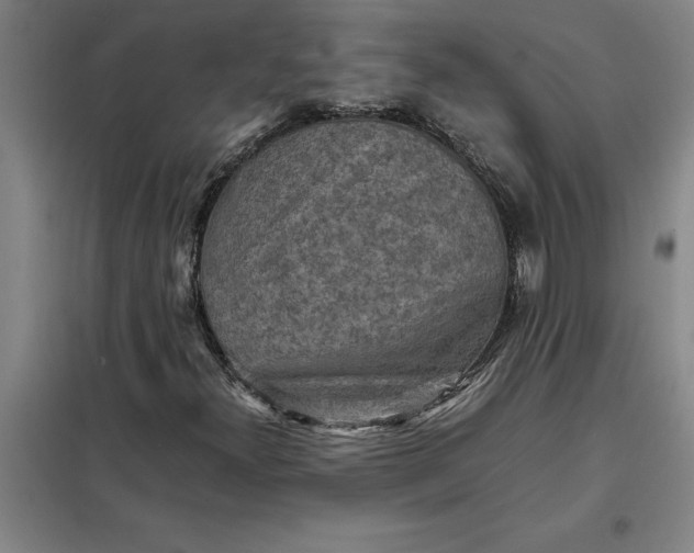 X0000098161300200805011421