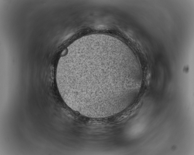 X0000098161301200805011421