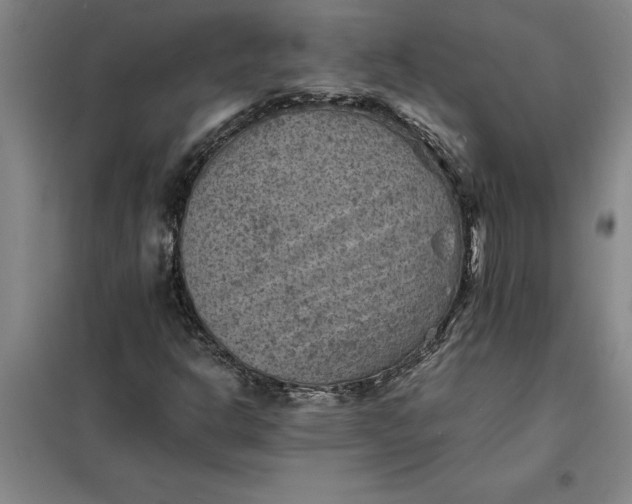 X0000098161302200805011421
