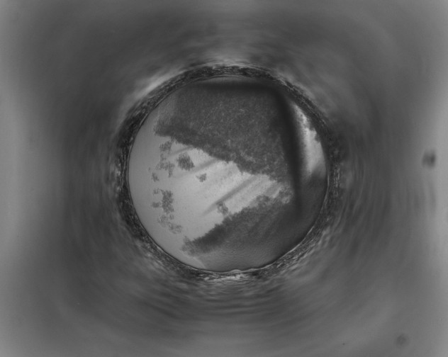 X0000098161303200805011421