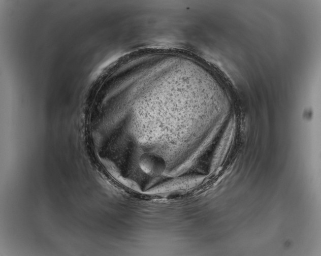 X0000098161304200805011421