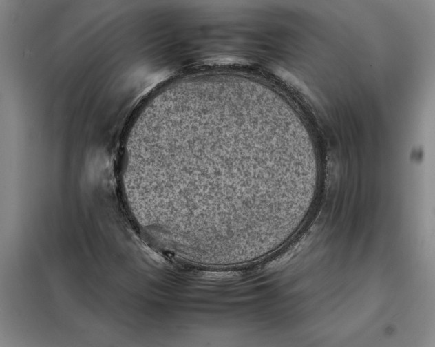 X0000098161305200805011421