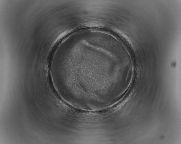 X0000098161306200805011421