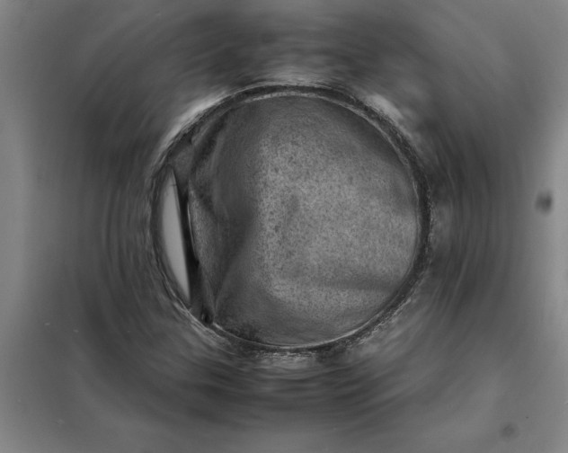 X0000098161307200805011421
