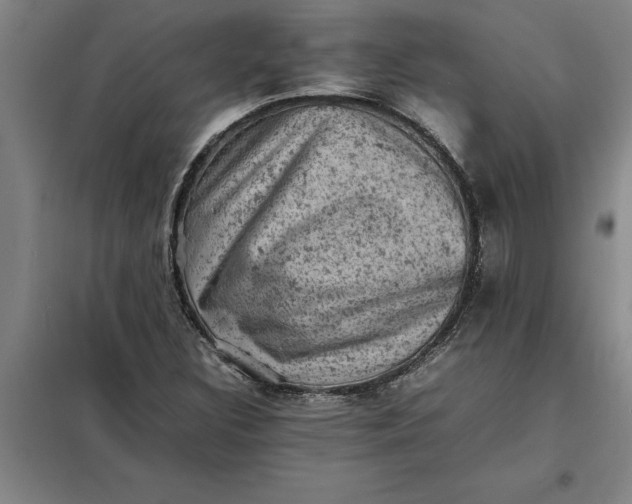 X0000098161308200805011421