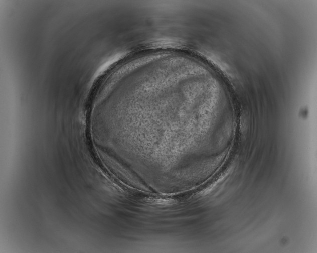 X0000098161309200805011421