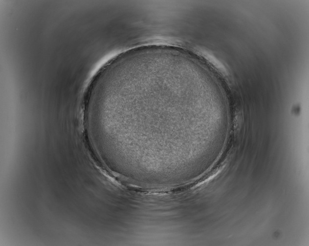 X0000098161310200805011421