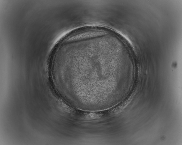 X0000098161311200805011421