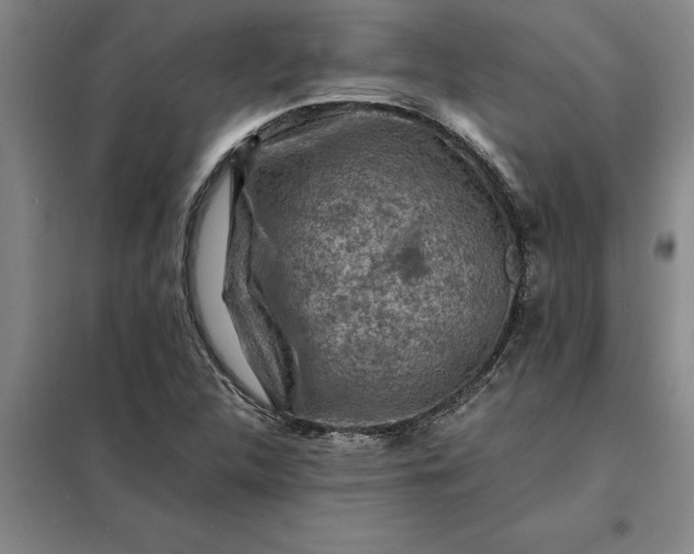 X0000098161312200805011421