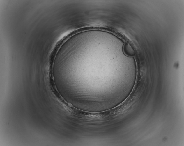 X0000098161315200805011421