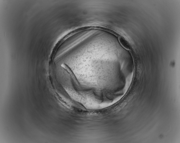 X0000098161316200805011421