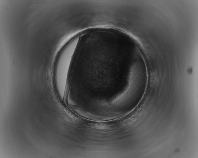 X0000098161319200805011421