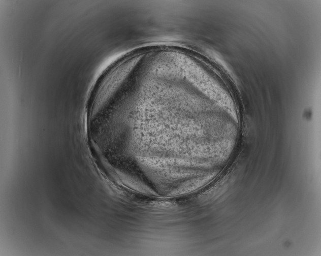 X0000098161320200805011421