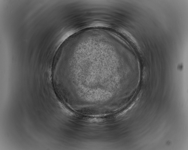 X0000098161321200805011421