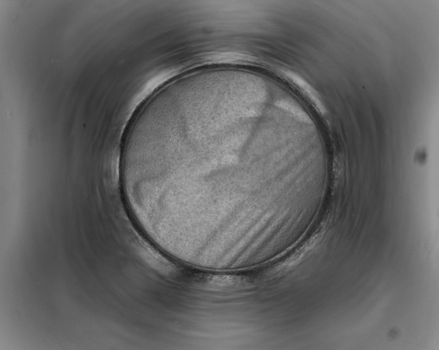 X0000098161322200805011421