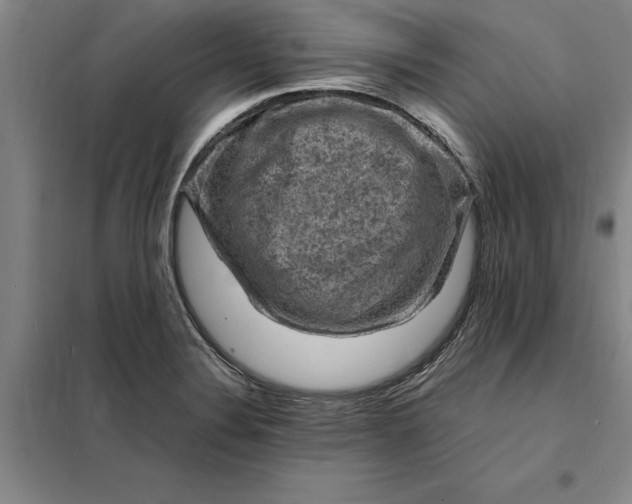 X0000098161324200805011421