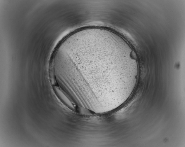 X0000098161326200805011421